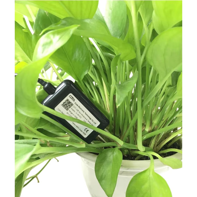 RS485 4-20mA Portable Soil Moi - Temperature Humidity Sensor บทวิจารณ์และราคา