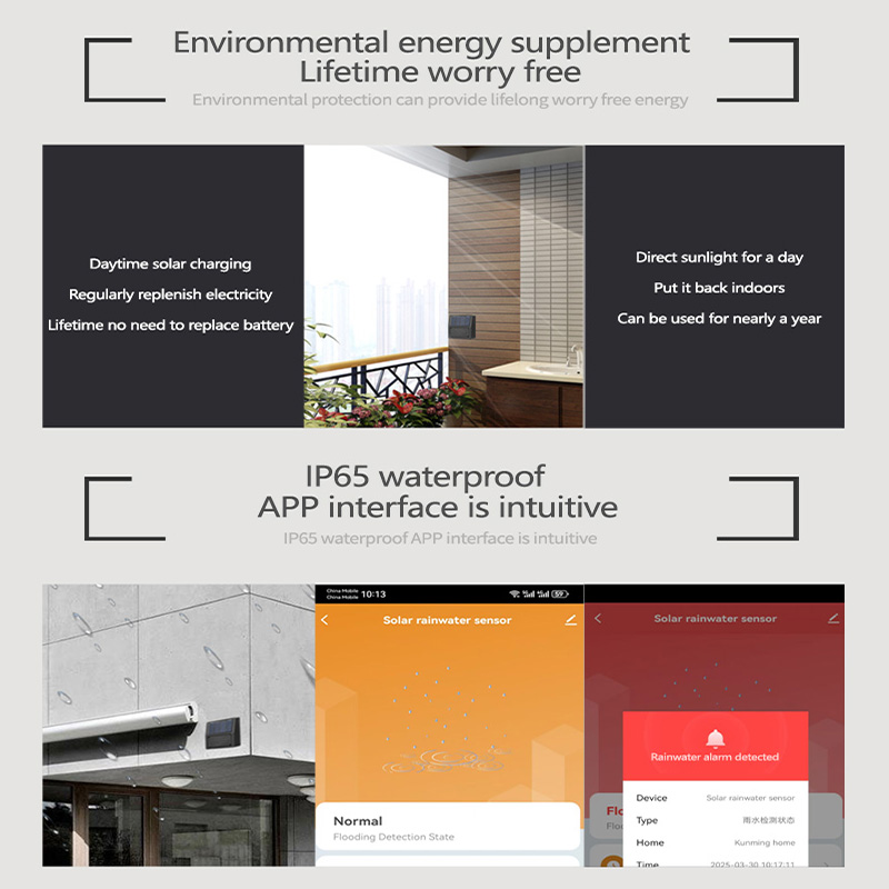 Tuya Zigbee Rain Sensor Real-T - Home Automation Tutorial บทวิจารณ์และราคา